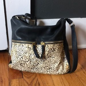 Fossil satchel